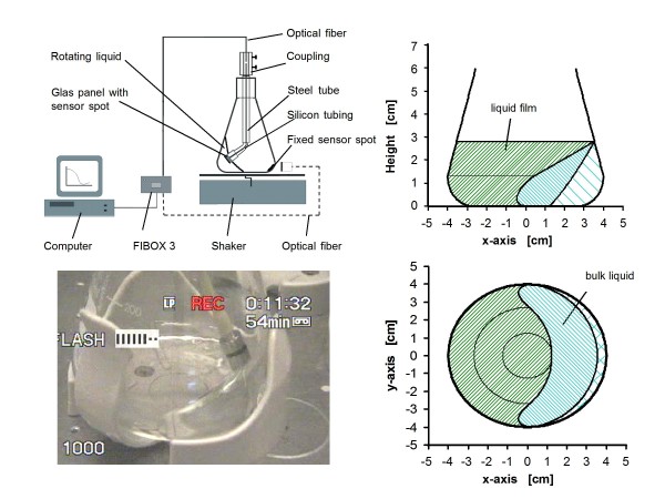 Experimental Setup for Dissolved Oxygen Measurement